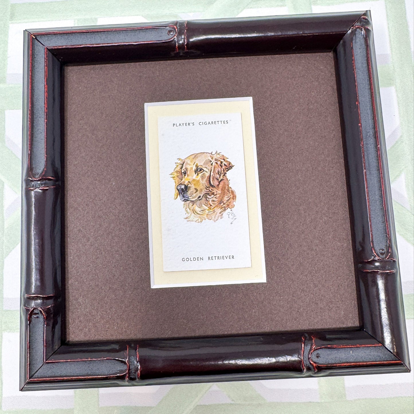 Framed Antique Dog Cigarette Card c. 1929, Golden Retriever