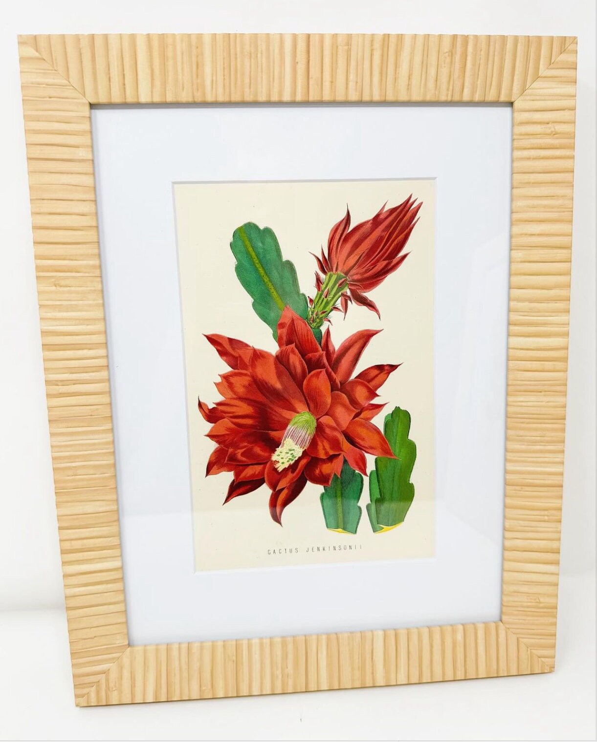 Set of 4 Framed Antique Flower Lithographs