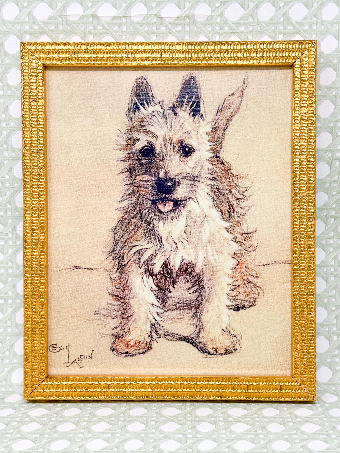 Framed White Terrier Dog Print by Cecil Aldin