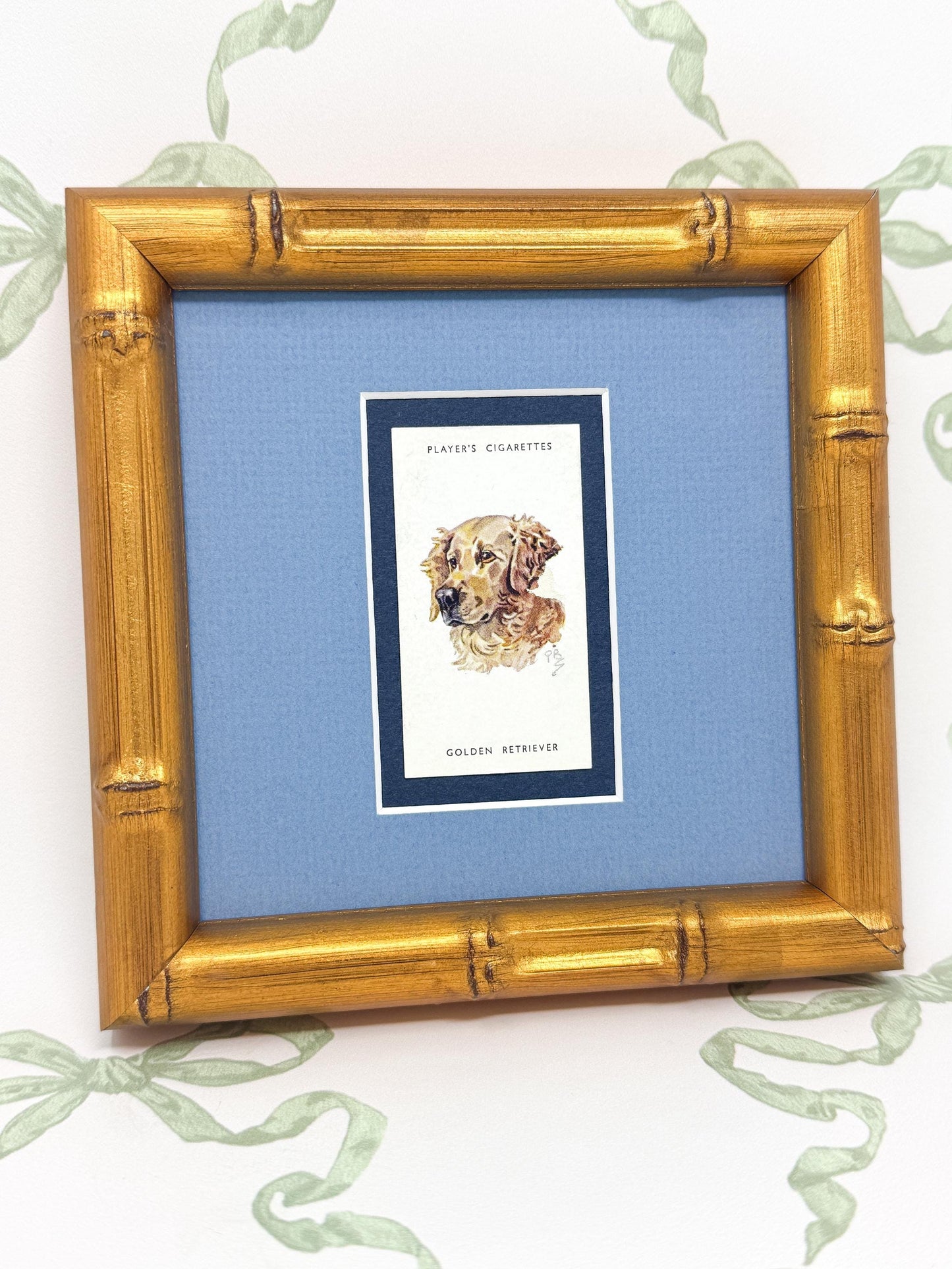 Framed Dog Antique Cigarette Card, Golden Retriever