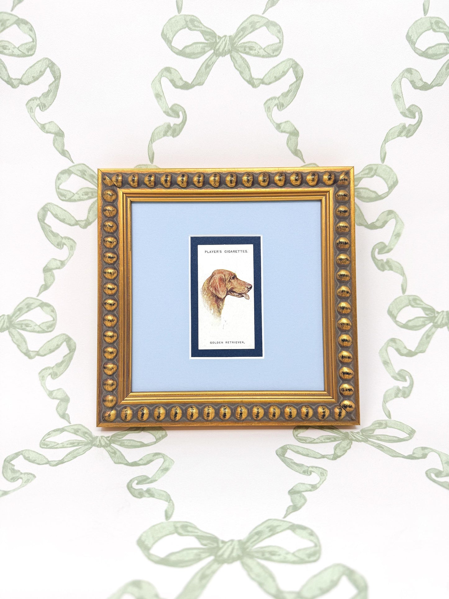 Framed Antique Dog Cigarette Card c. 1929, Golden Retriever
