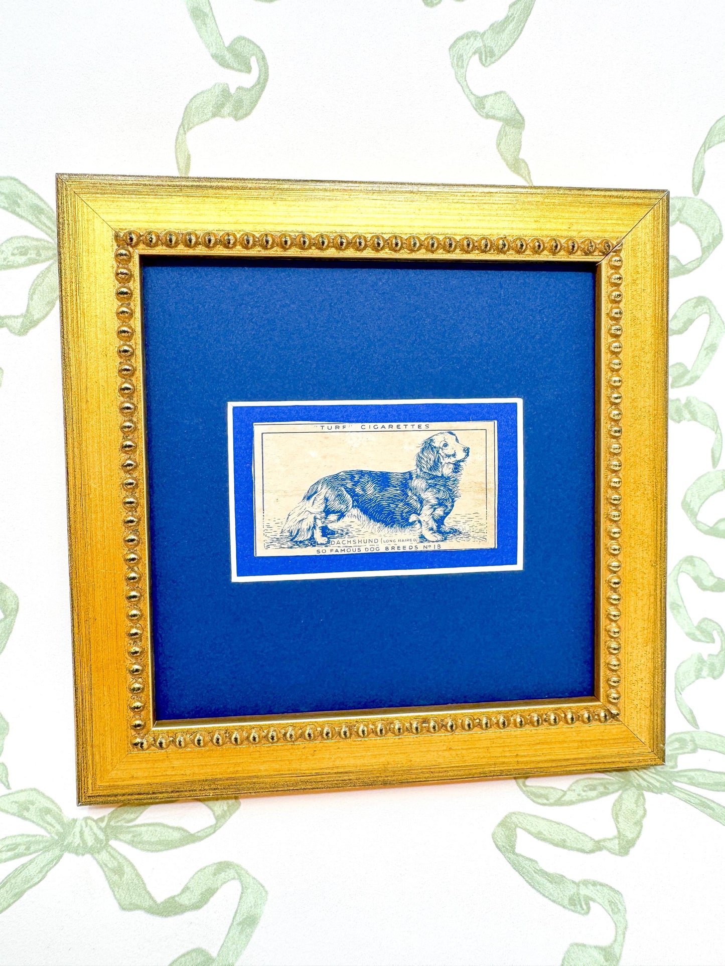 Framed Dog Antique Cigarette Card c. 1952, Long-Haired Dachshund