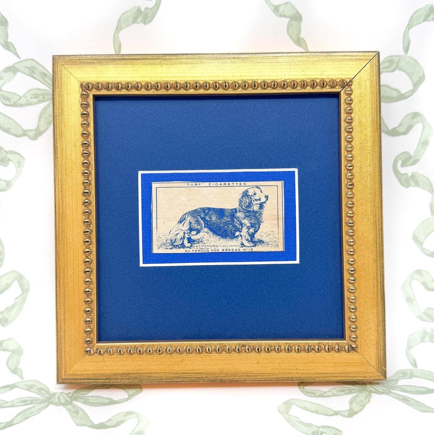 Framed Dog Antique Cigarette Card c. 1952, Long-Haired Dachshund