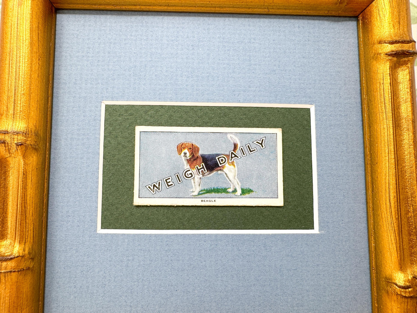 Framed Dog Antique Cigarette Card, Beagle