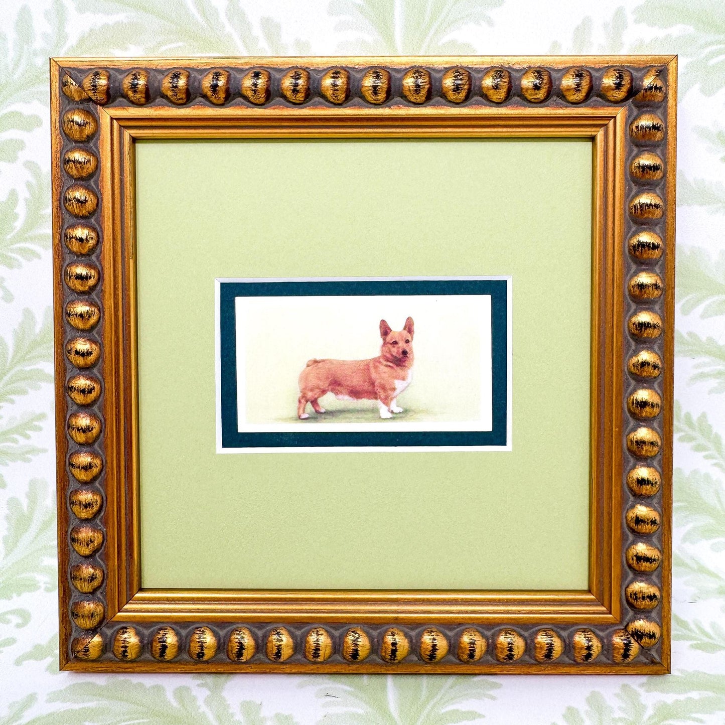 Framed Antique Dog Cigarette Card, Corgi
