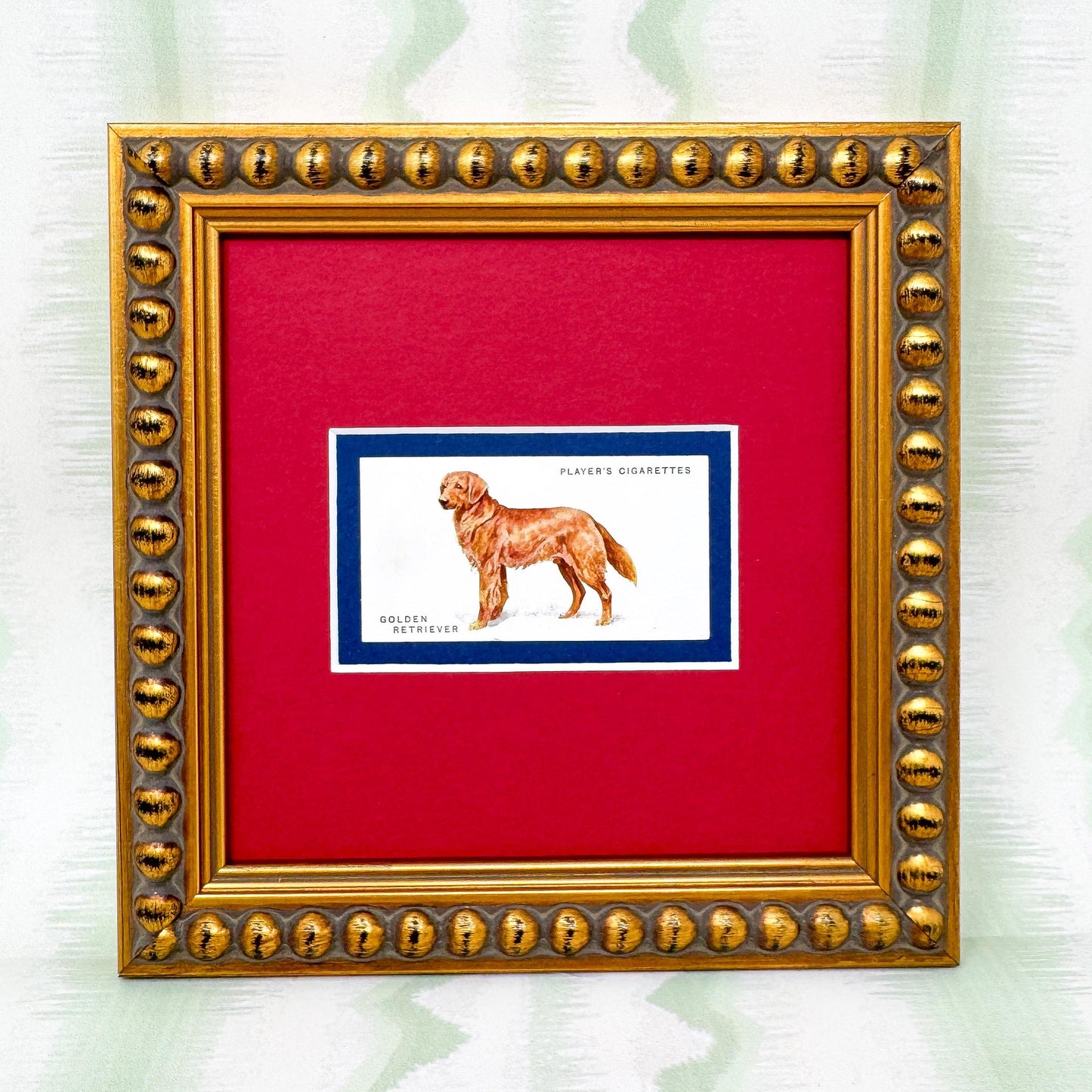 Framed Dog Antique Cigarette Card c. 1931, Golden Retriever