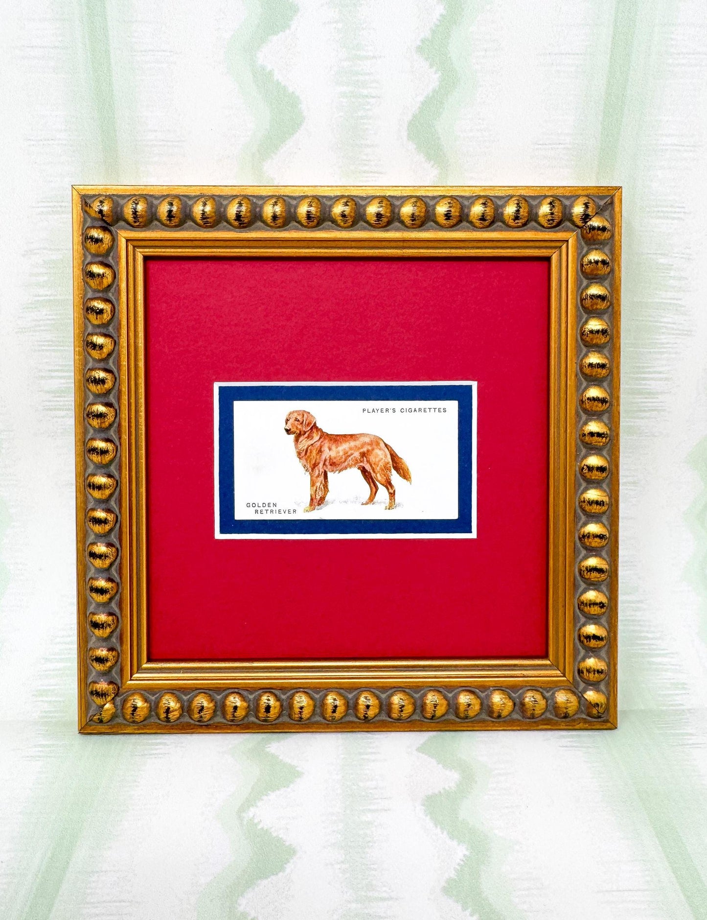 Framed Dog Antique Cigarette Card c. 1931, Golden Retriever