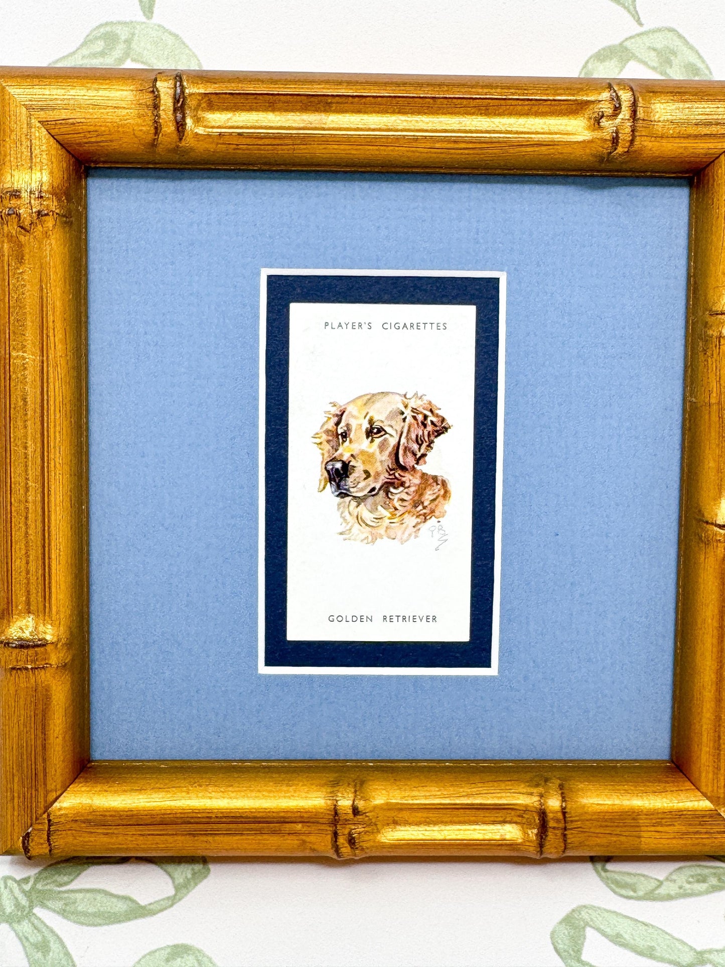 Framed Dog Antique Cigarette Card, Golden Retriever
