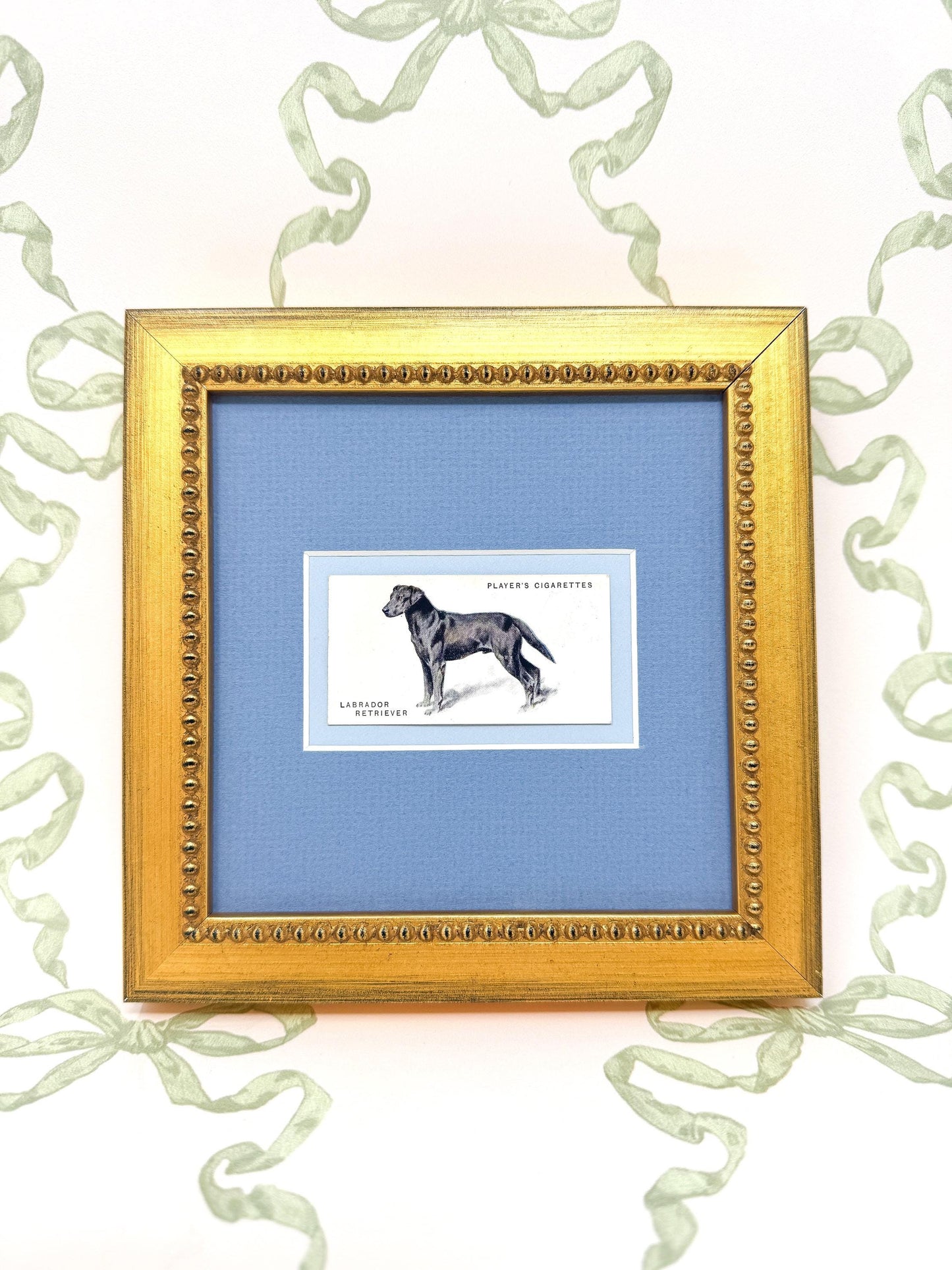 Framed Dog Antique Cigarette Card c. 1931, Black Labrador Retriever