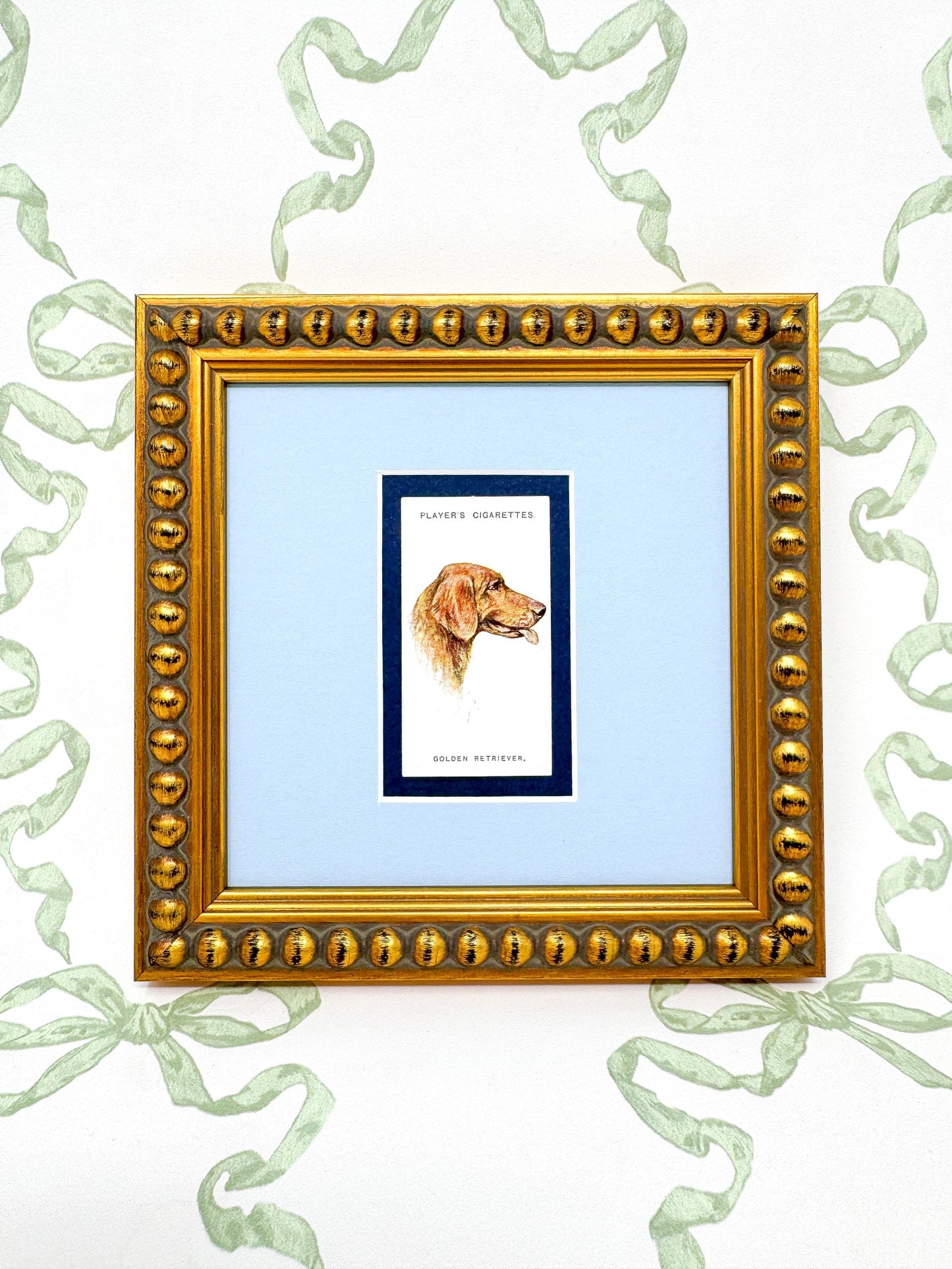 Framed Antique Dog Cigarette Card c. 1929, Golden Retriever