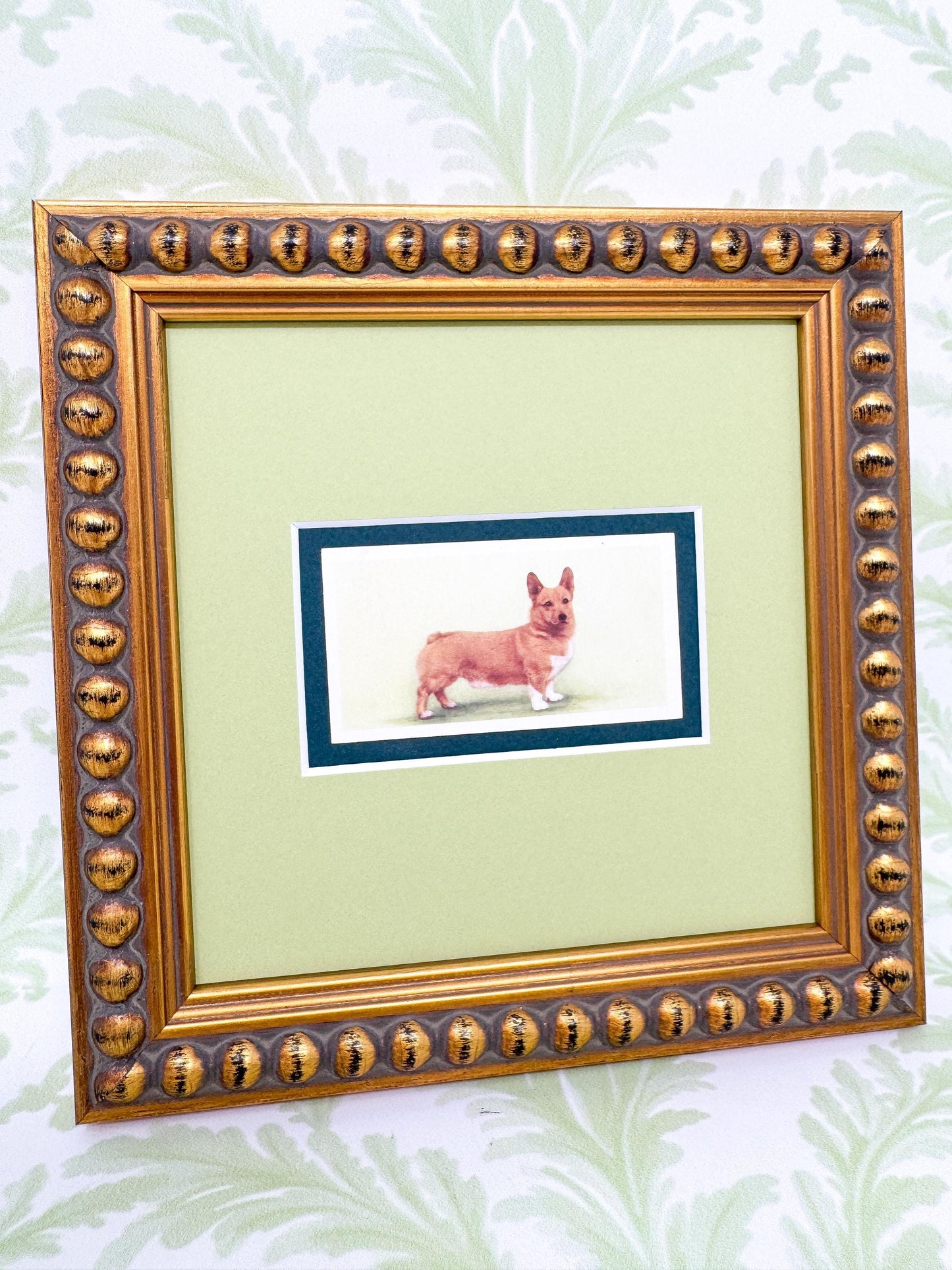 Framed Antique Dog Cigarette Card, Corgi