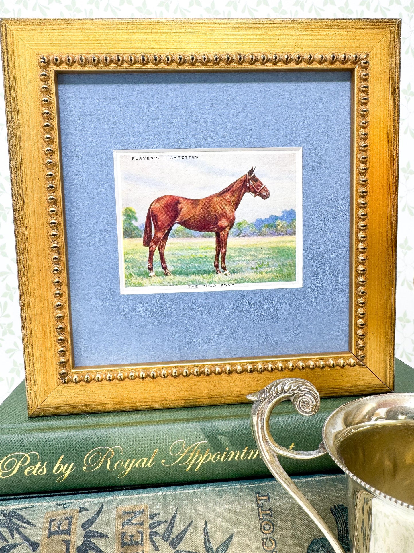 Framed Antique Horse Cigarette Card c. 1939, Polo Pony