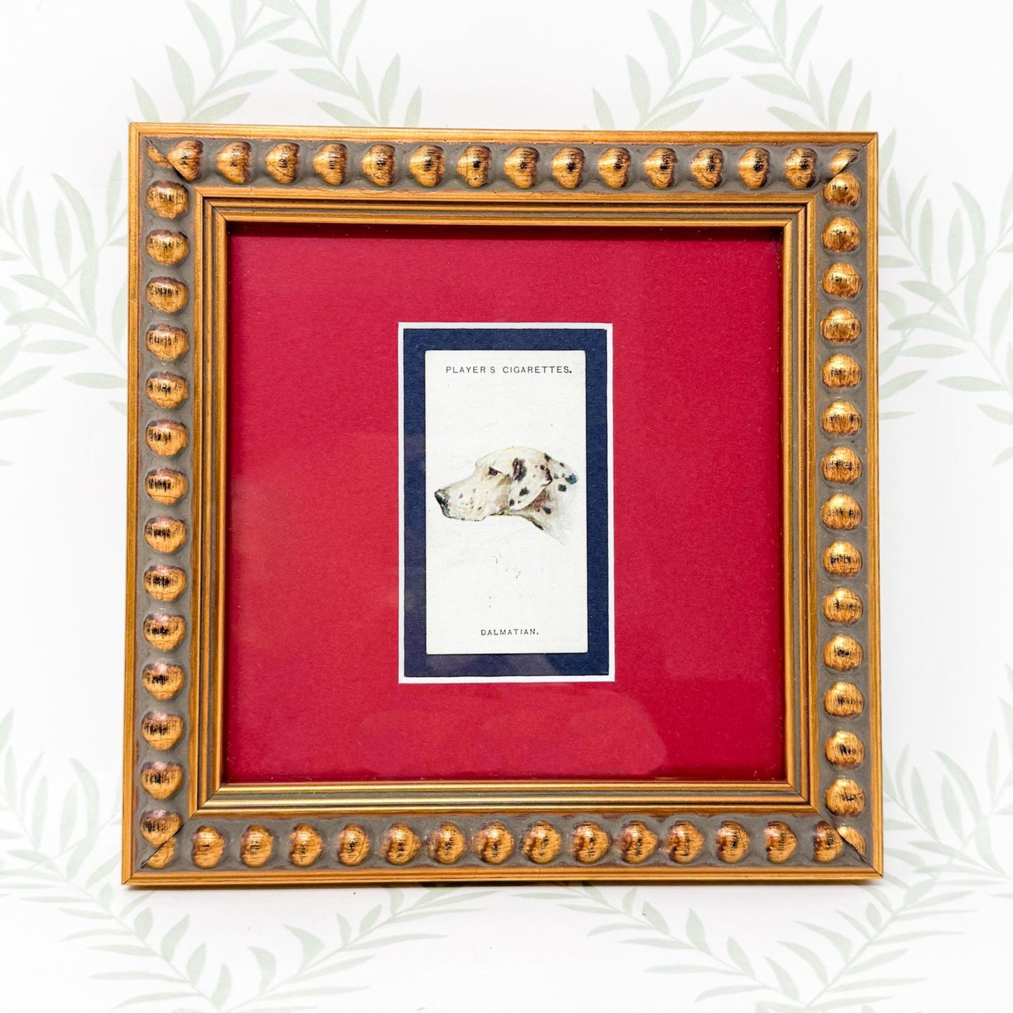 Framed Antique Dog Cigarette Card c. 1929, Dalmatian