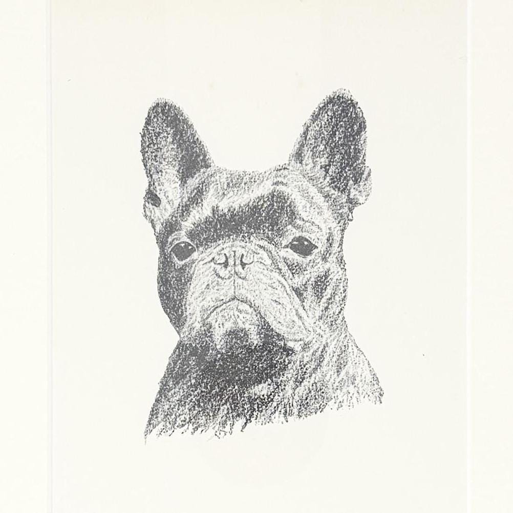 Framed Vintage Dog Book Plate, c. 1935, French Bulldog