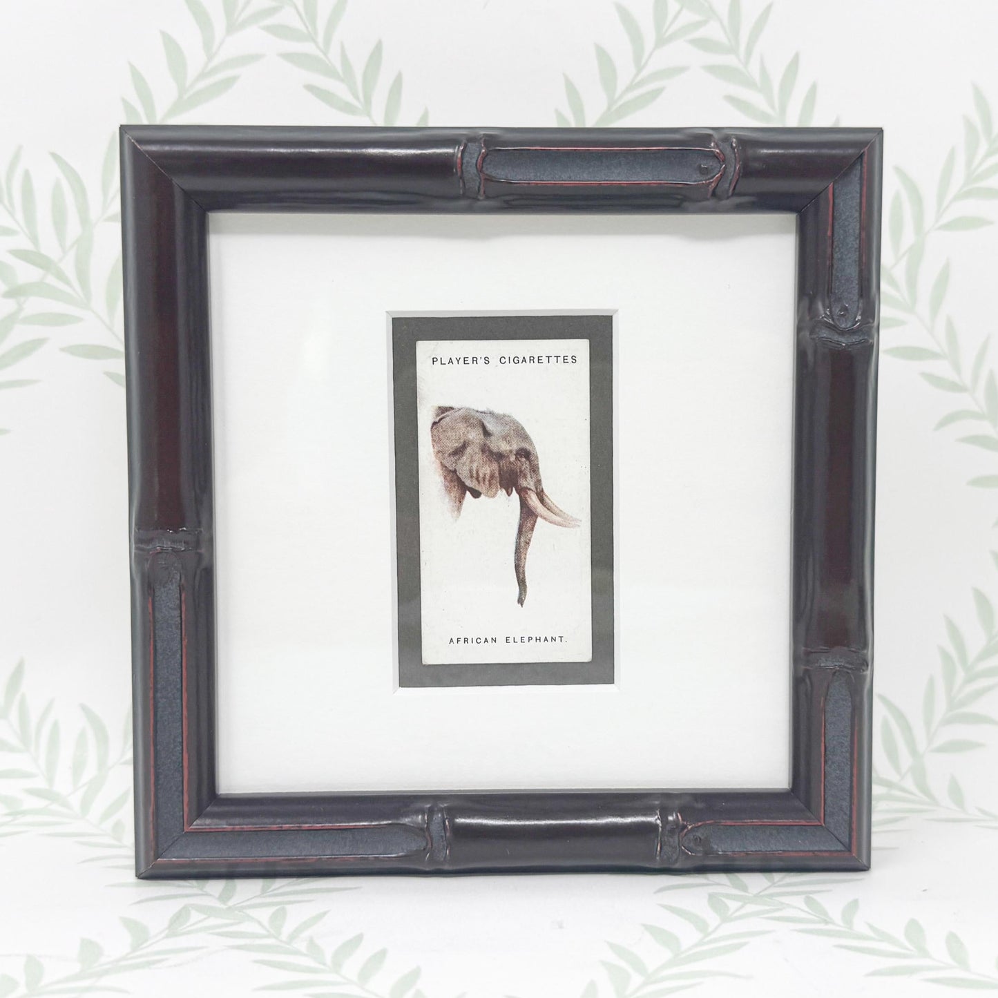 Framed Antique Cigarette Card c. 1931, African Elephant
