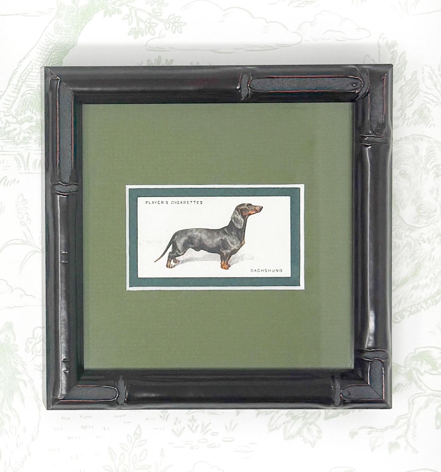 Framed Dog Antique Cigarette Card c. 1931, Dachshund