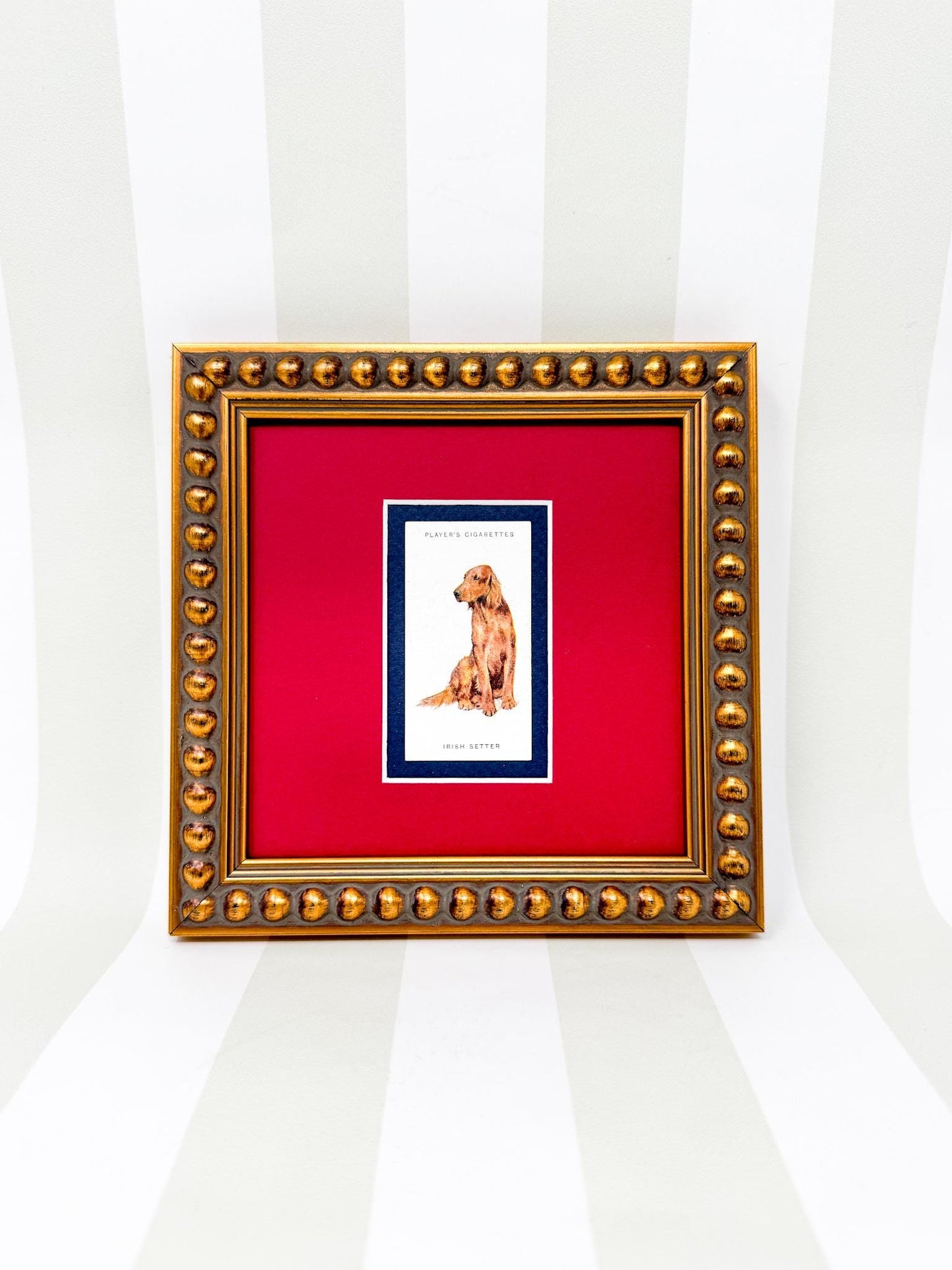 Framed Antique Dog Cigarette Card c. 1929, Irish Setter