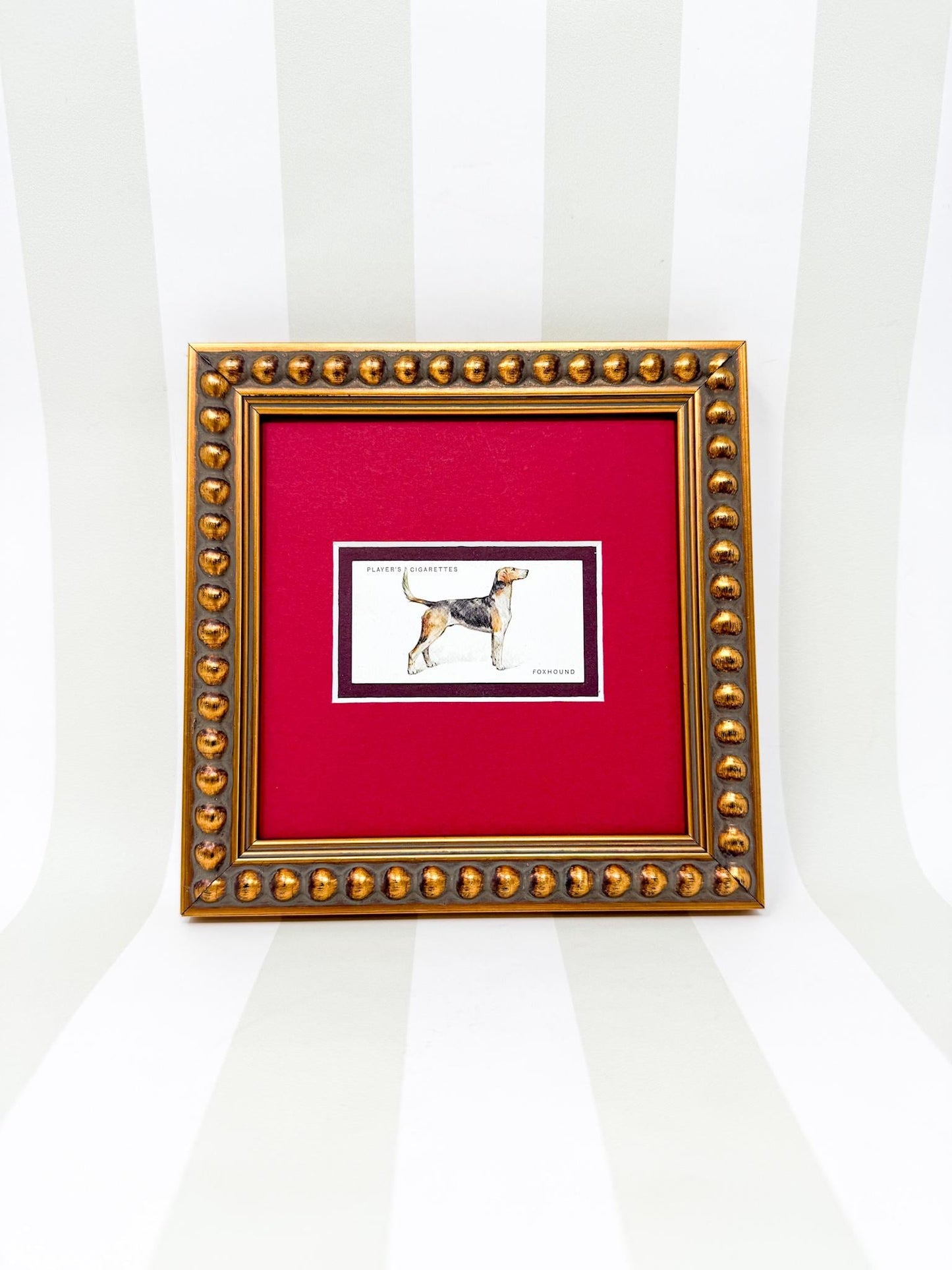 Framed Dog Antique Cigarette Card c. 1931, Beagle