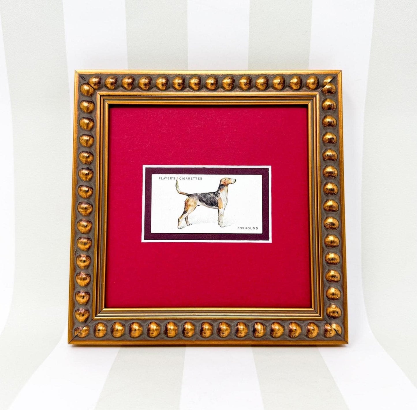 Framed Dog Antique Cigarette Card c. 1931, Beagle