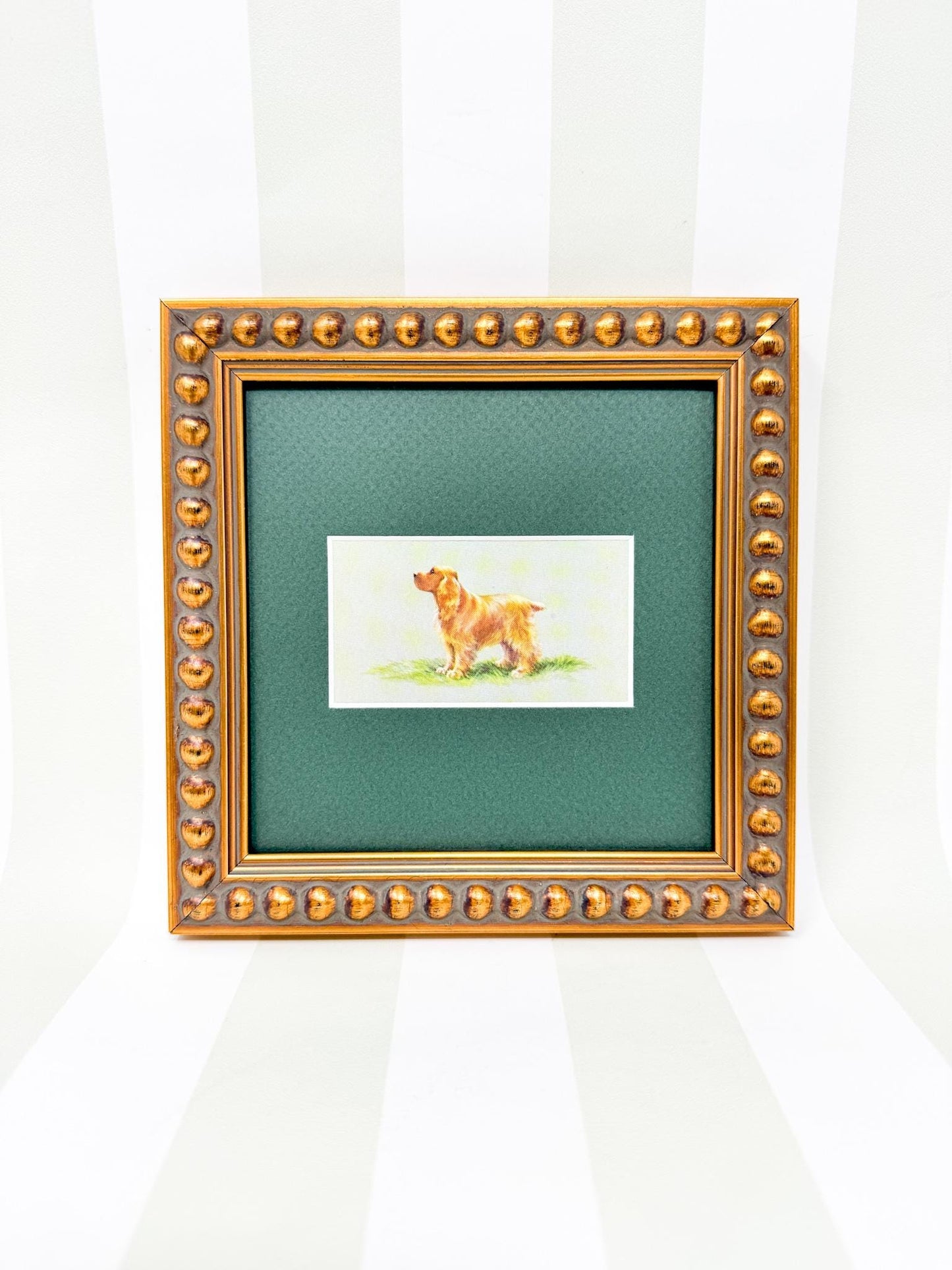 Framed Dog Vintage Cigarette Card c. 1971, Cocker Spaniel