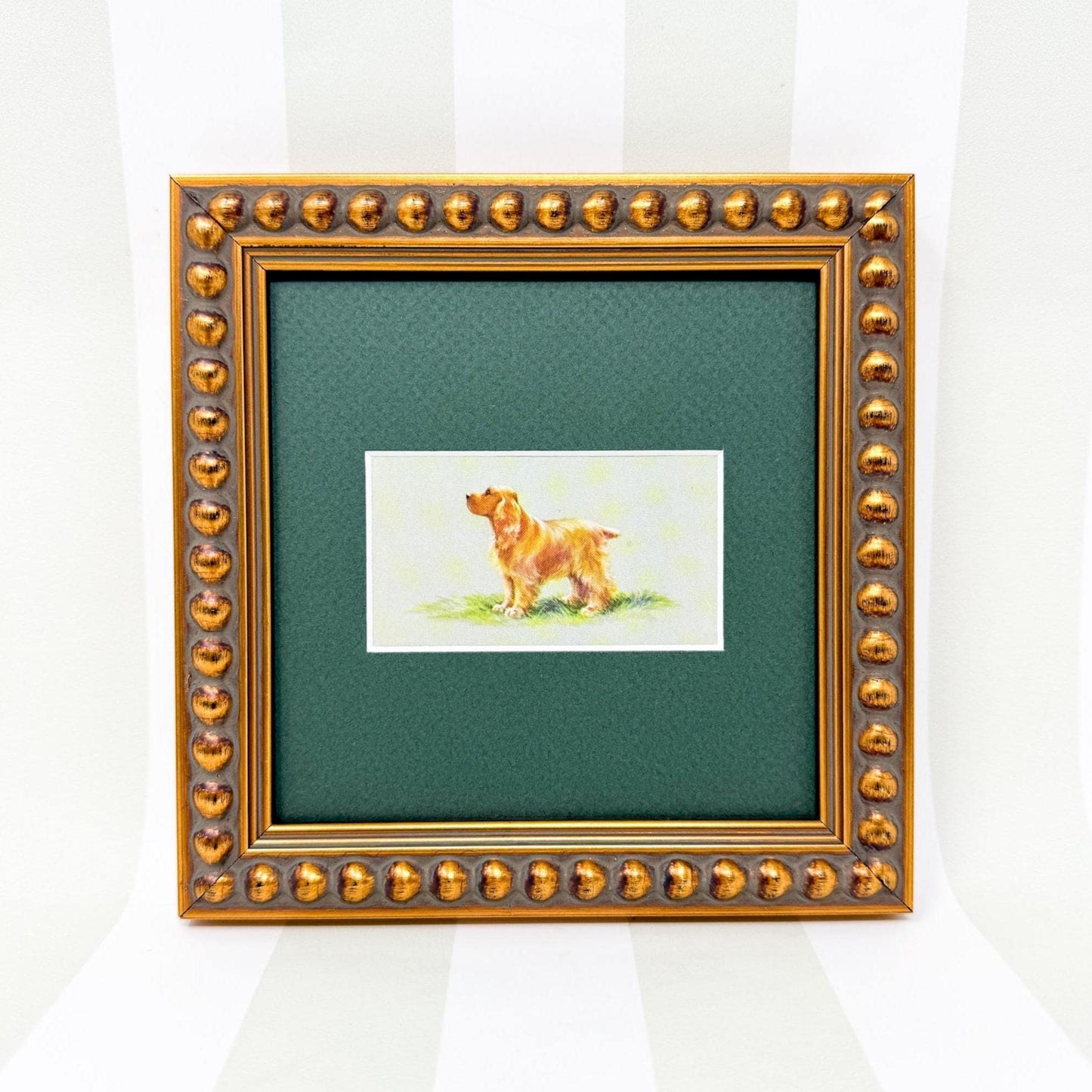Framed Dog Vintage Cigarette Card c. 1971, Cocker Spaniel