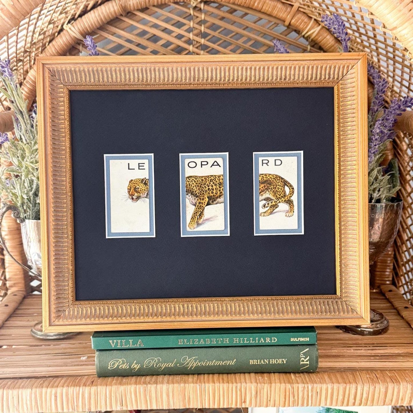 Framed Vintage Animalloys Cigarette Card c. 1934, Leopard