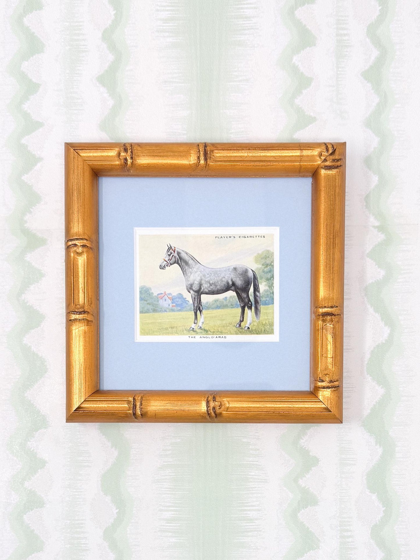 Framed Antique Horse Cigarette Card c. 1939, Anglo Arab