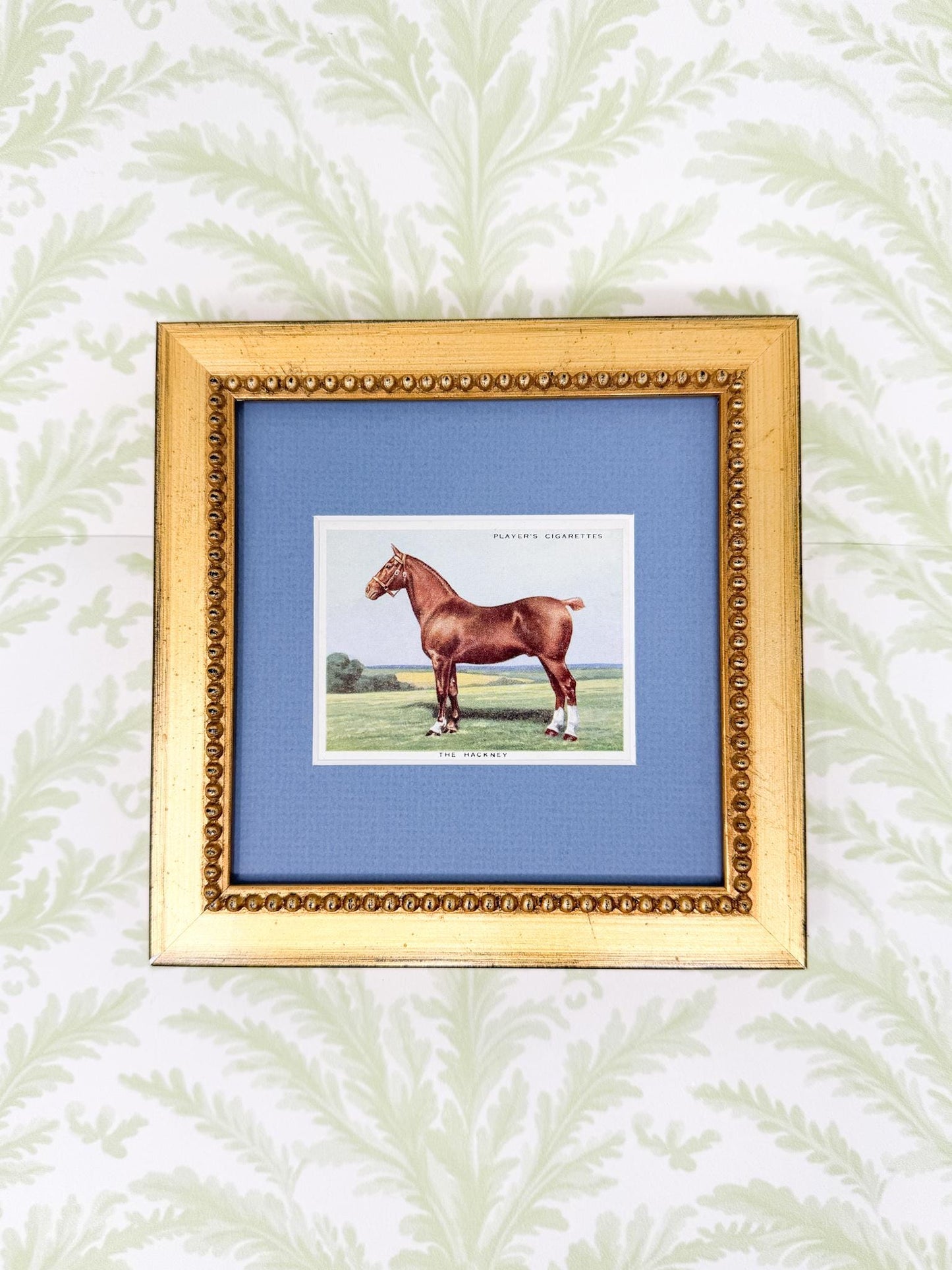 Framed Vintage Horse Cigarette Card c. 1939, The Hackney