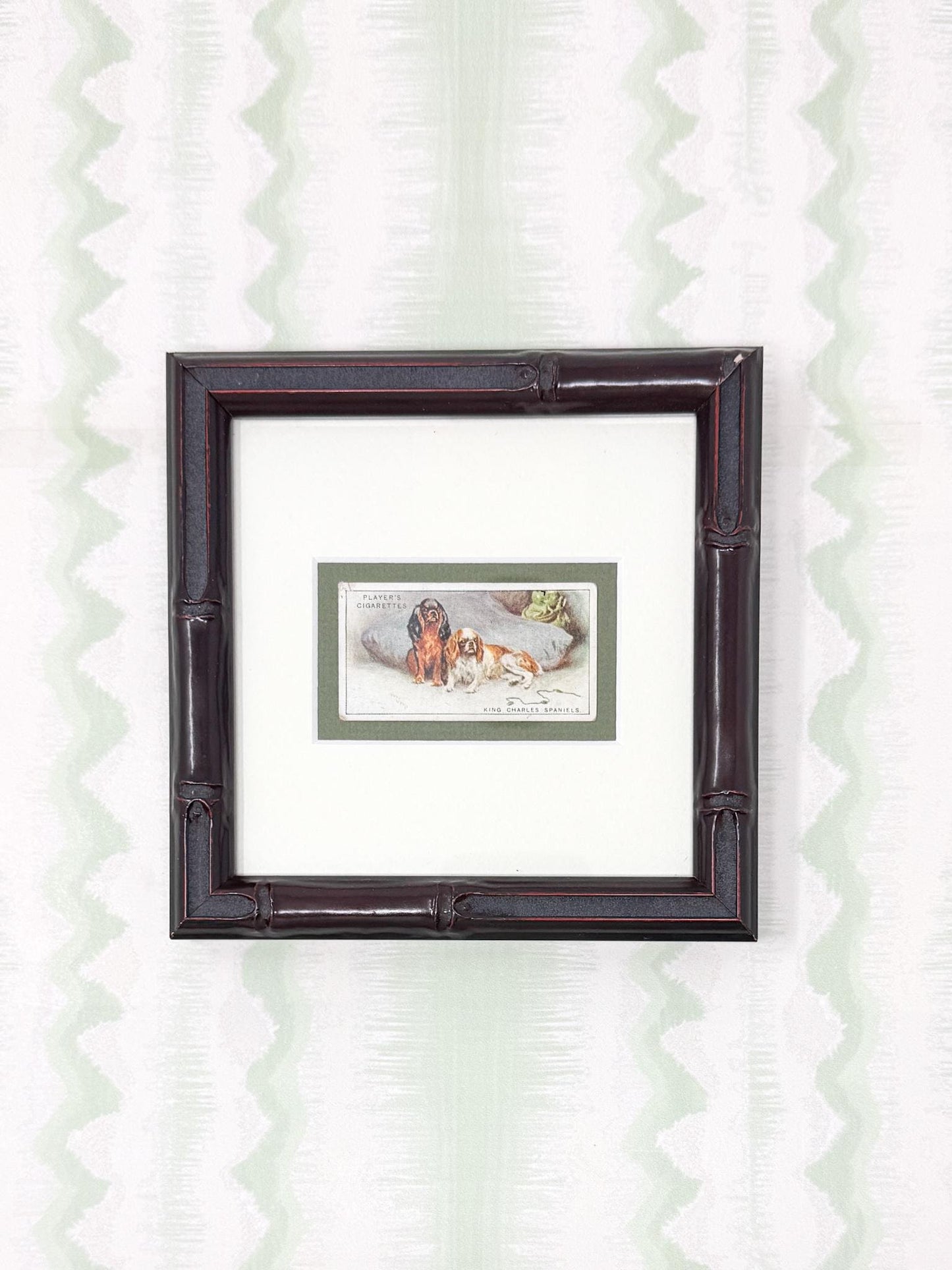 Framed Antique Dog Cigarette Card c. 1925, King Charles Cavalier Spaniel