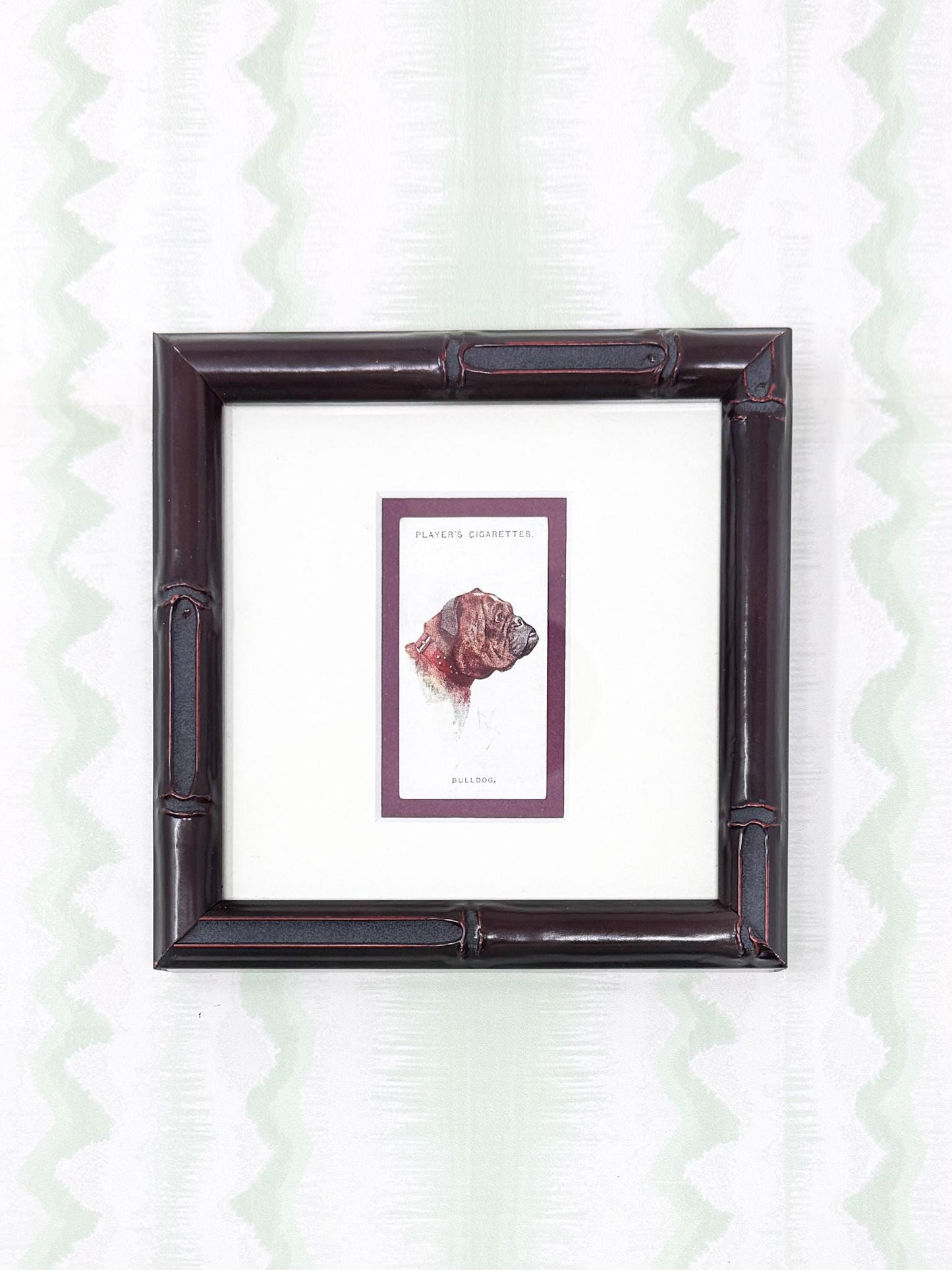 Framed Antique Dog Cigarette Card c. 1929, Bulldog