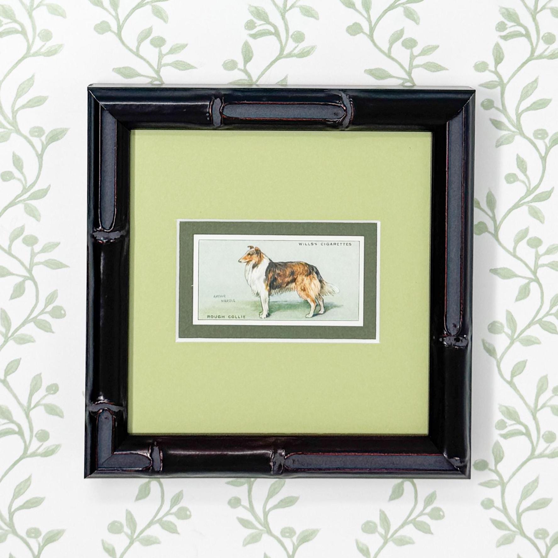 dog cigarette cards CARDS. Gallaher Tobacco. DOGS 2nd Series. (Complete Set of 48). (1938) Framed Vintage Dog Cigarette Card