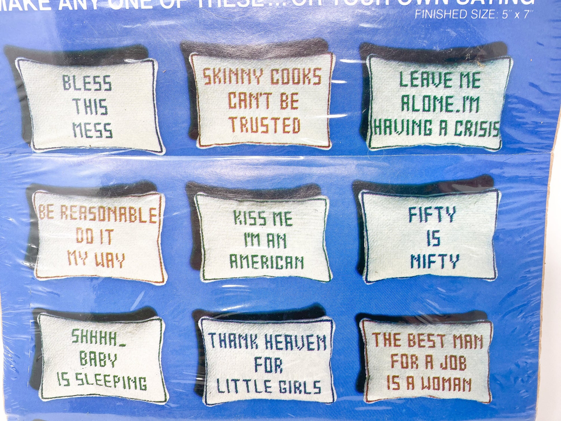 Vintage Cheeky Needlepoint Pillow Kit, "Pillow Talk"