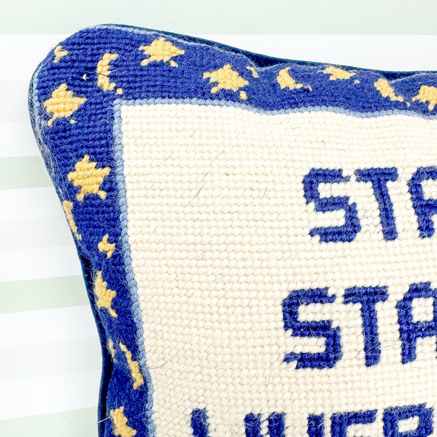 Star Light Star Bright, Where Oh Where Is Mr. Right Cheeky Vintage Needlepoint Pillow
