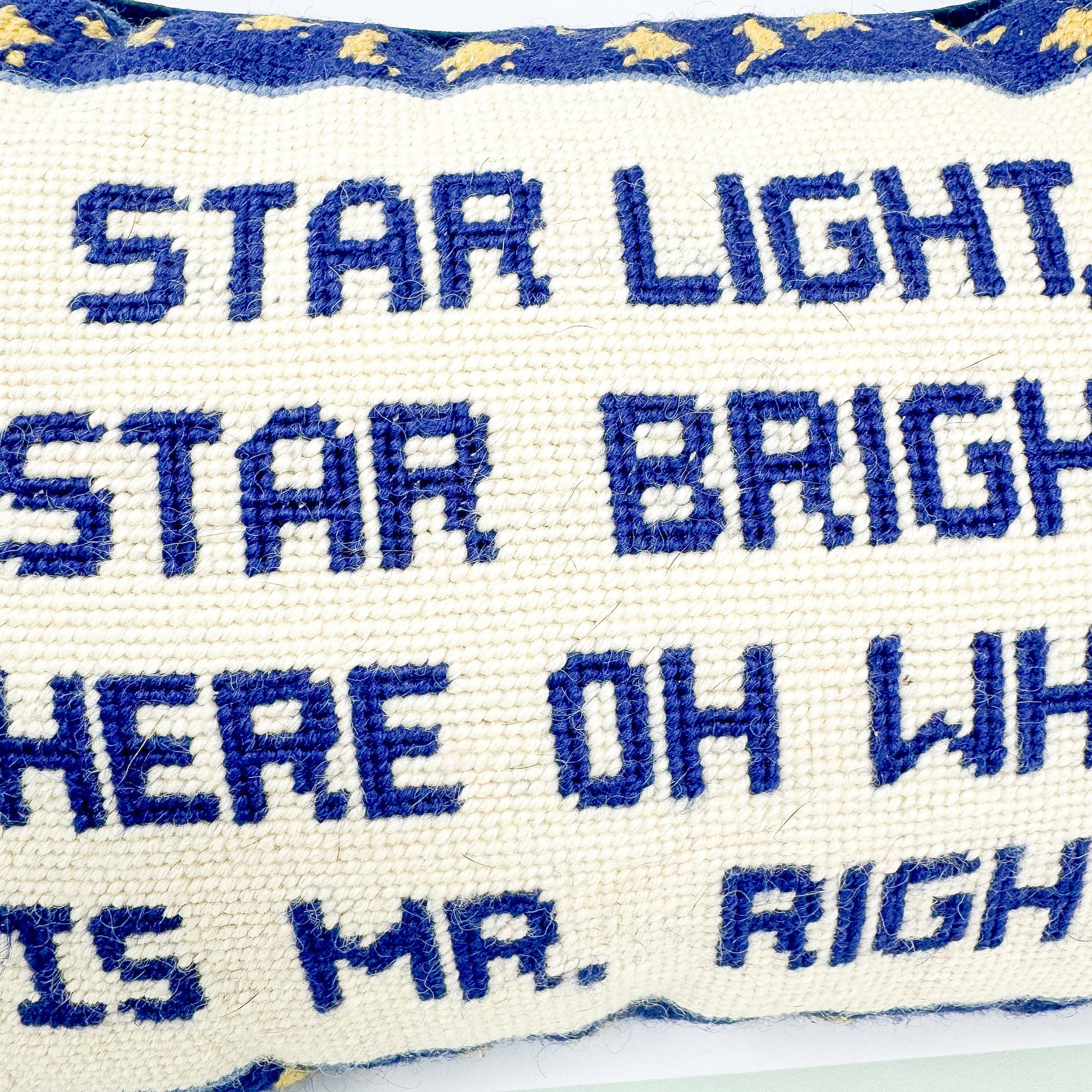 Star Light Star Bright, Where Oh Where Is Mr. Right Cheeky Vintage Needlepoint Pillow