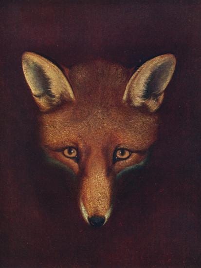 Fox Head Print in Bamboo Frame