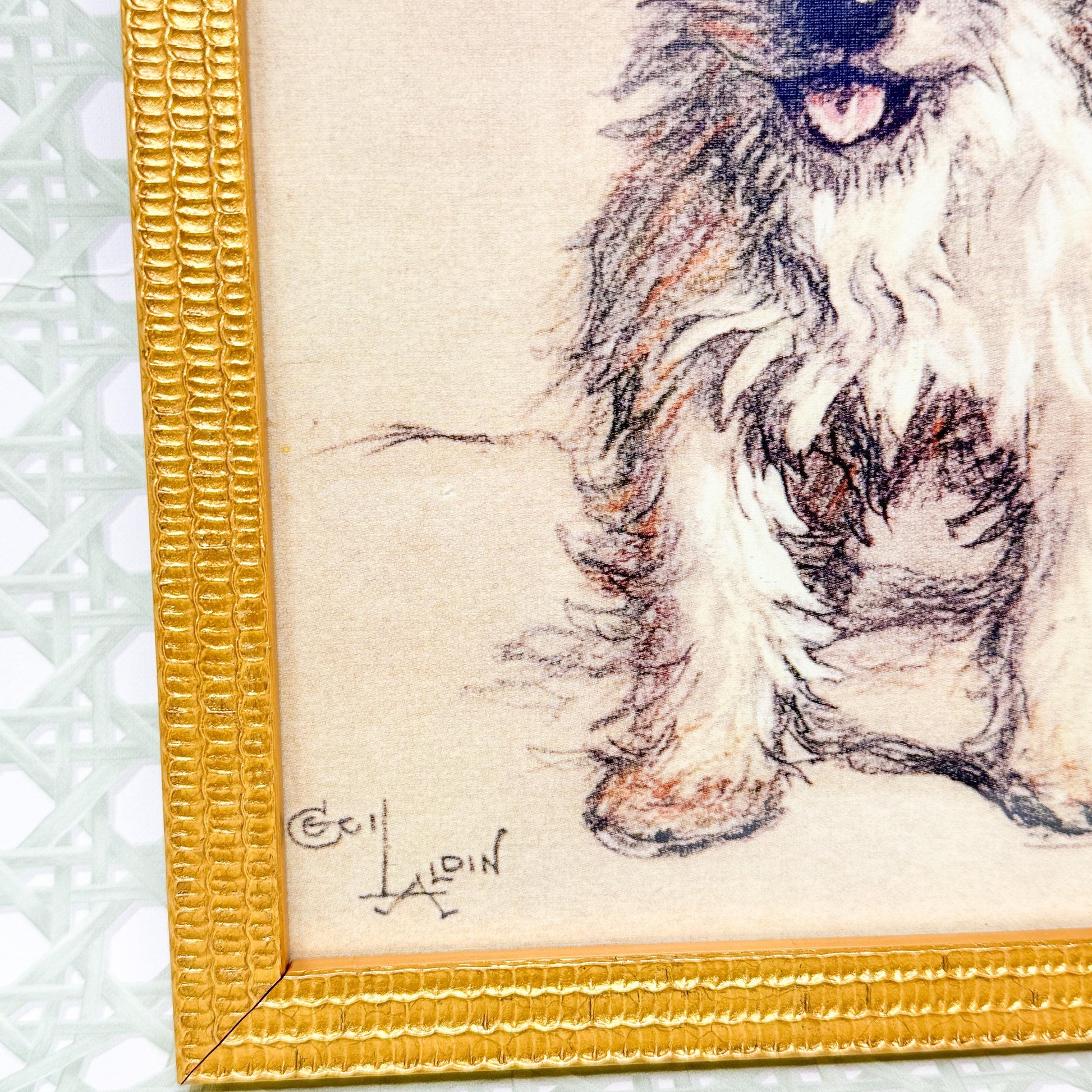 Framed White Terrier Dog Print by Cecil Aldin