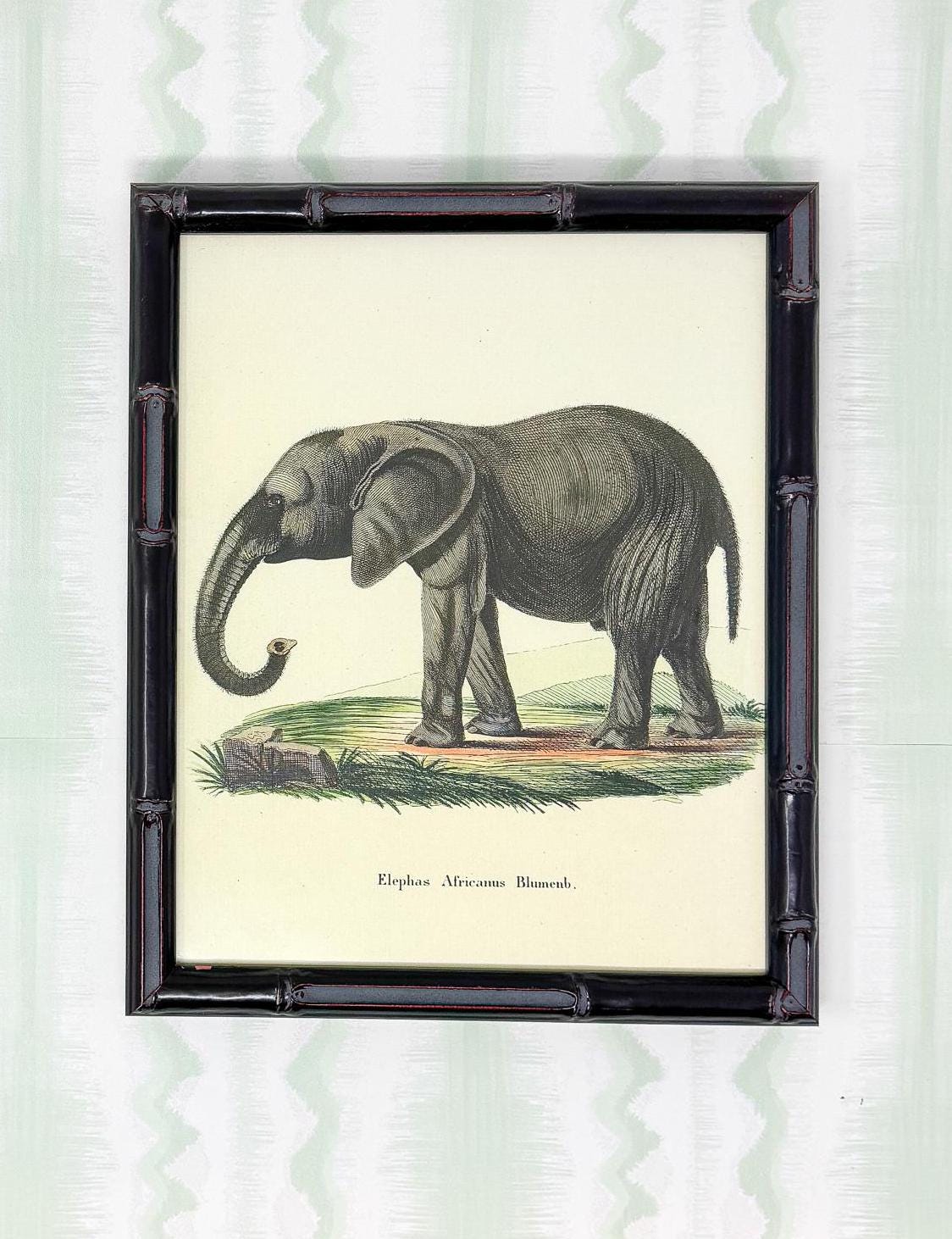 Bamboo Framed Elephant Lithograph Print