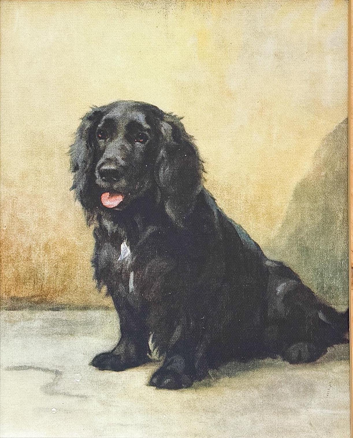 Burlwood Framed Black Dog Print by Maud Earl