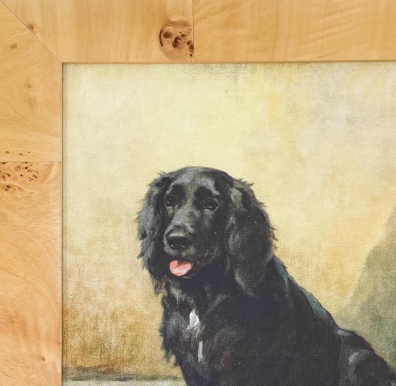 Burlwood Framed Black Dog Print by Maud Earl