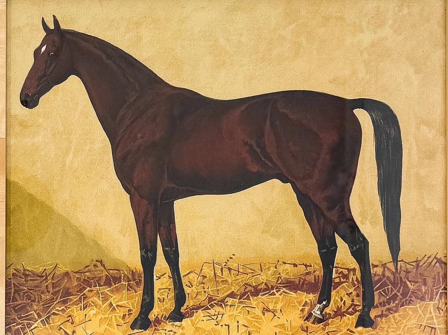 Equestrian Horse Print in Burlwood Frame