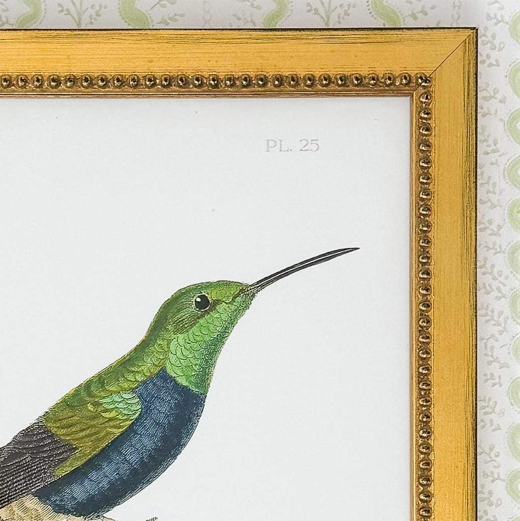 Hummingbird Lithograph Print in Gold Frame - 8x10"