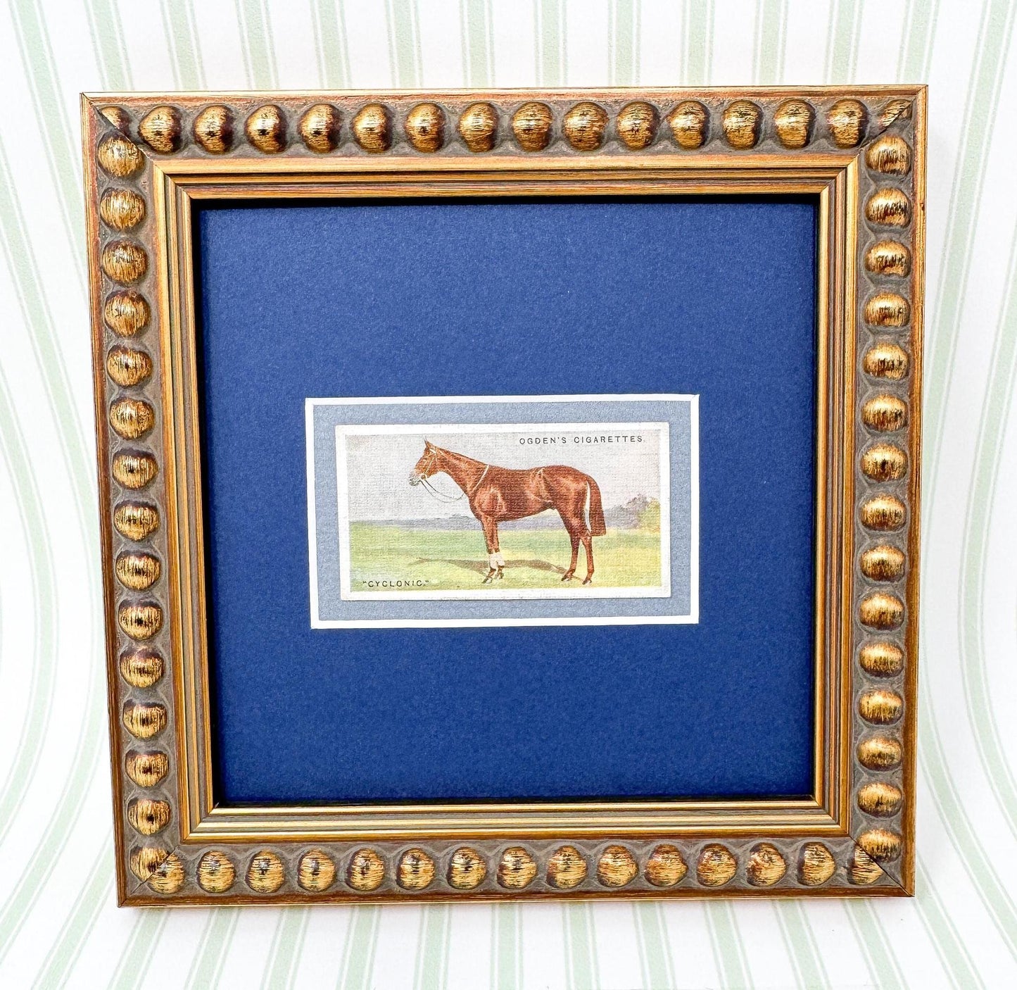 Framed Antique Race Horse Derby Cigarette Card c. 1928, Cyclonic