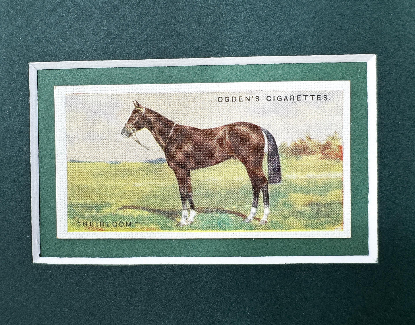 Framed Antique Race Horse Derby Cigarette Card c. 1928, Heirloom