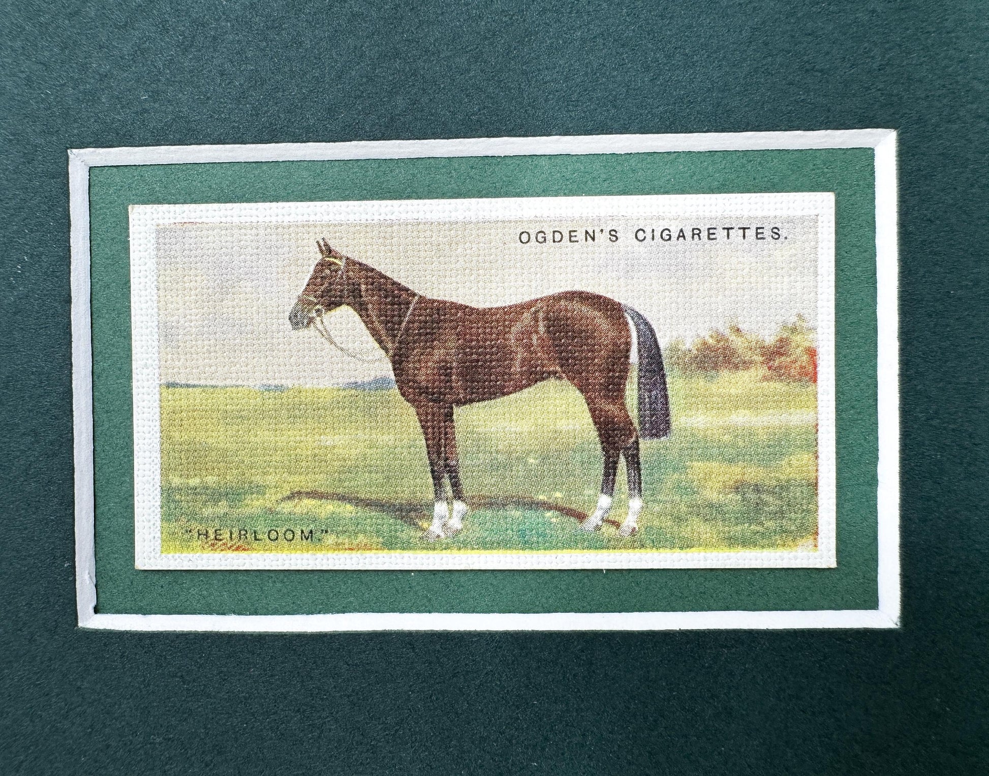 Framed Antique Race Horse Derby Cigarette Card c. 1928, Heirloom