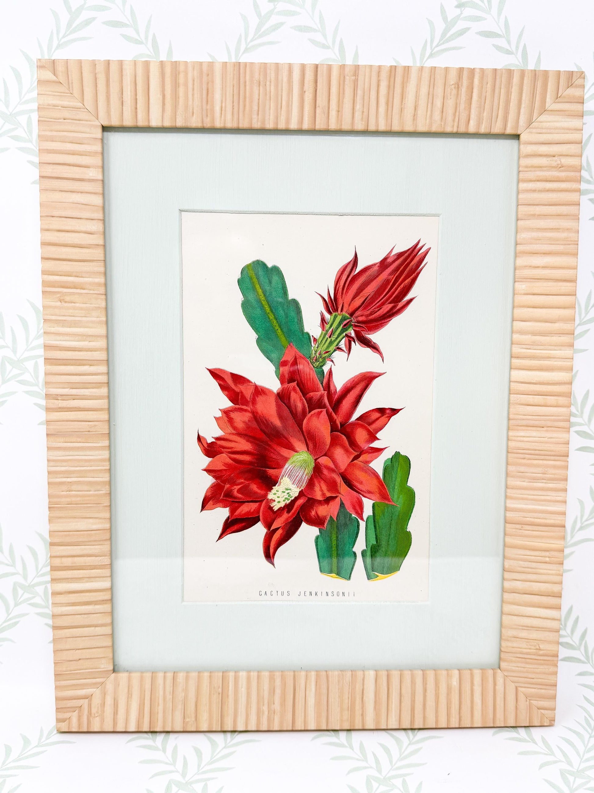 Framed Antique Flower Prints by James Ridgway c. 1800s, Set of 2