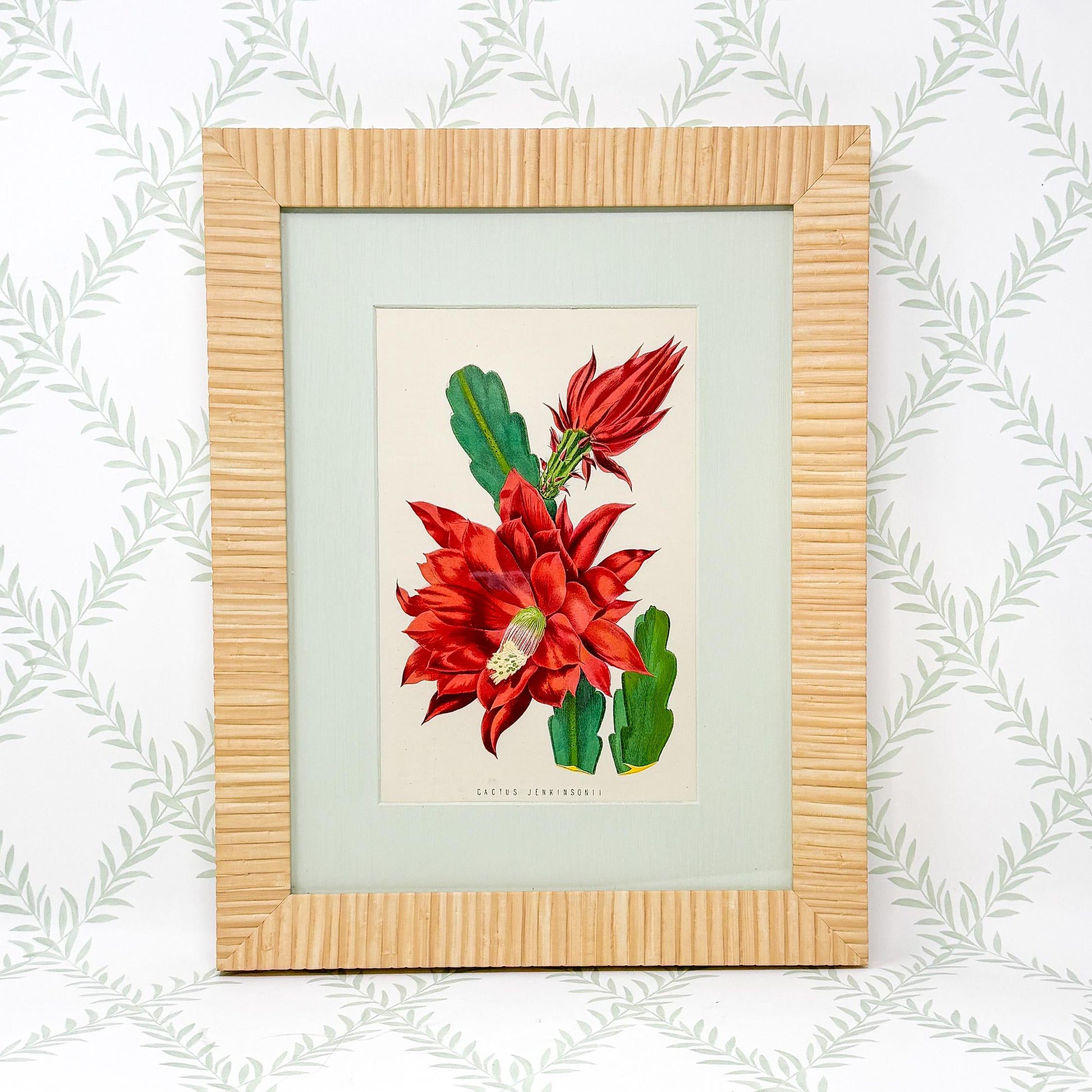 Framed Antique Flower Prints by James Ridgway c. 1800s, Set of 2