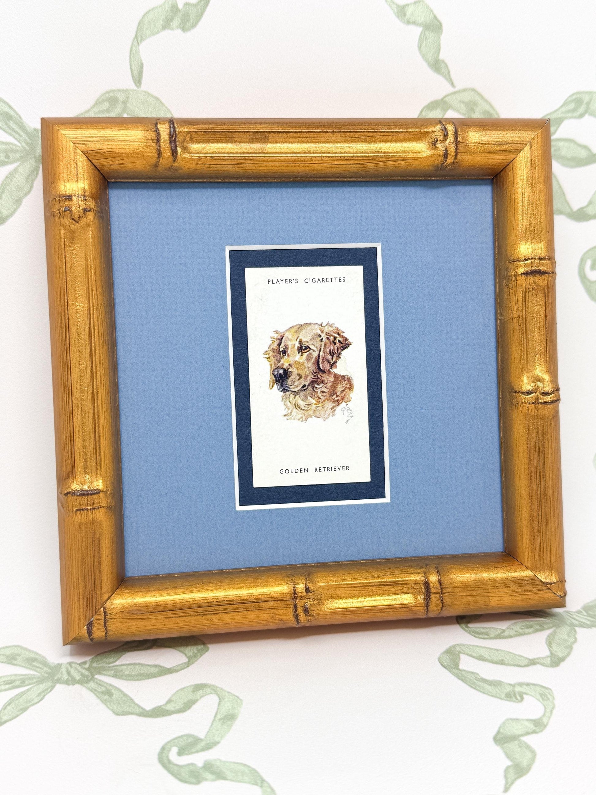 Framed Dog Antique Cigarette Card, Golden Retriever