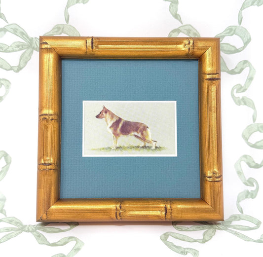 Framed Dog Vintage Cigarette Card c. 1971, German Shepherd