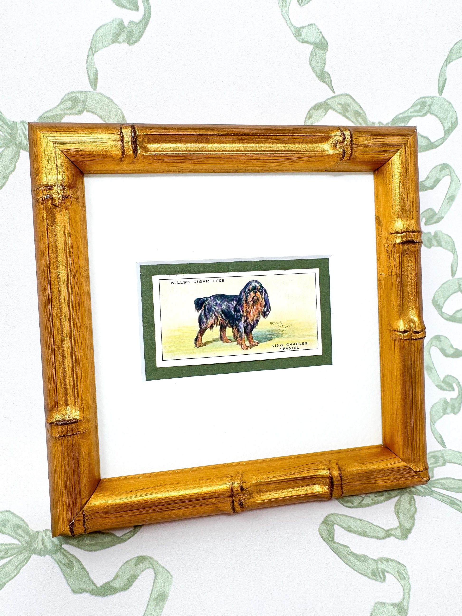 Framed Antique Dog Cigarette Card c. 1937, King Charles Cavalier Spaniel
