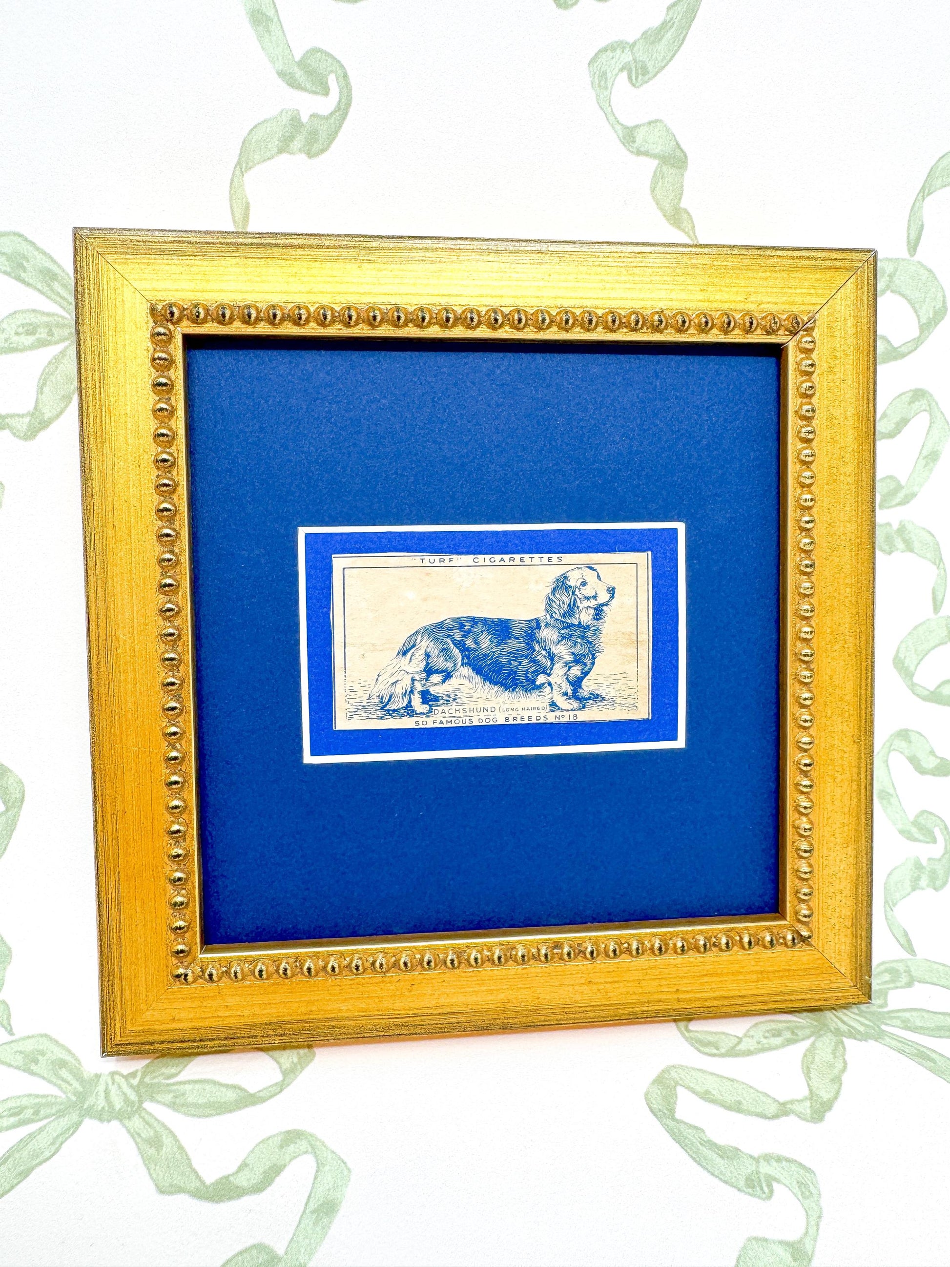 Framed Dog Antique Cigarette Card c. 1952, Long-Haired Dachshund